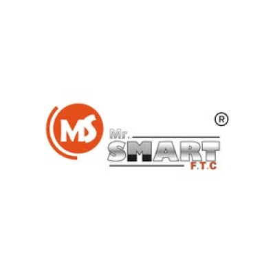 Mr Smart