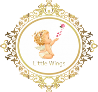 Little Wings